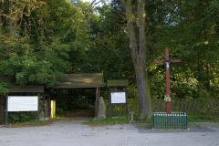 Park pałacowy